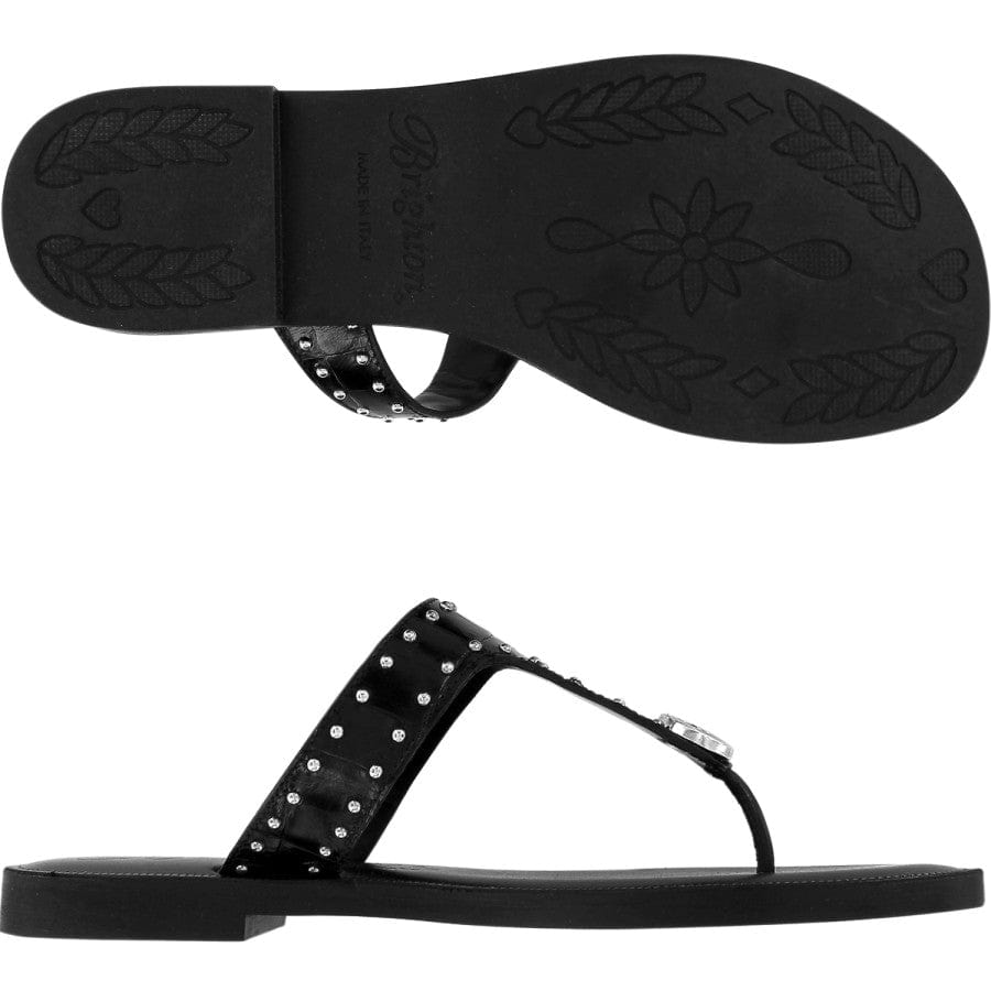  Alfa Thongs