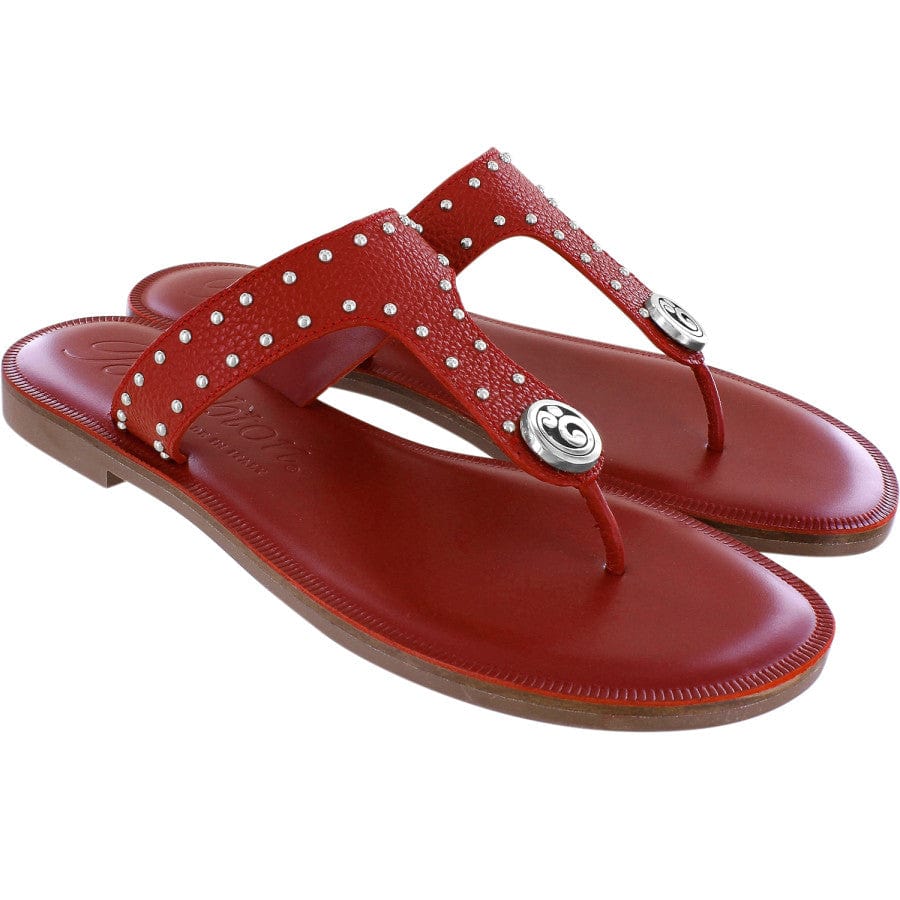  Alfa Thongs
