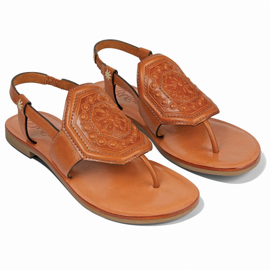  Ancona Thongs
