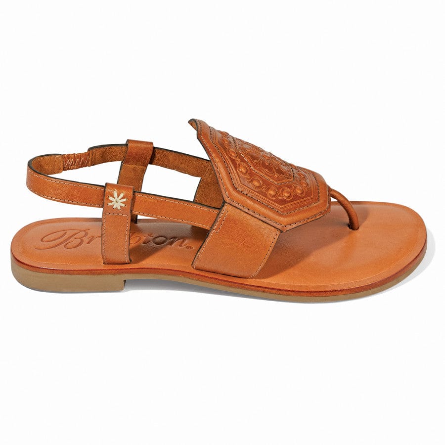 Ancona Thongs