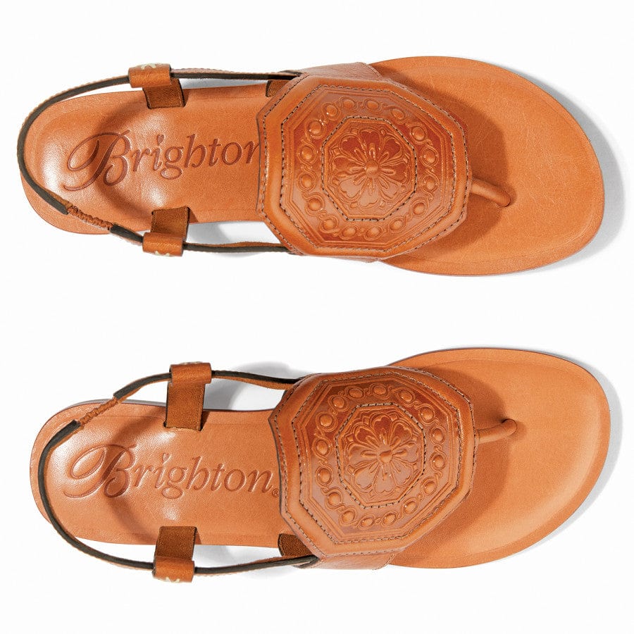  Ancona Thongs