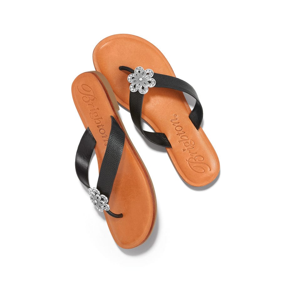  Aster Flower Thongs