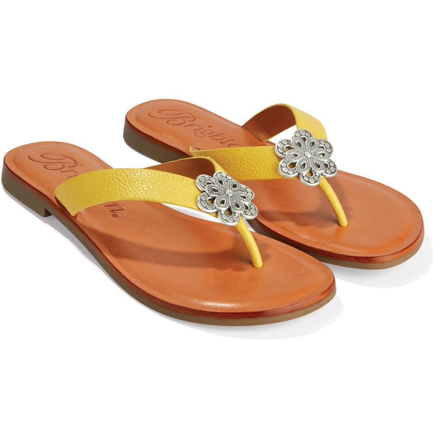  Aster Flower Thongs