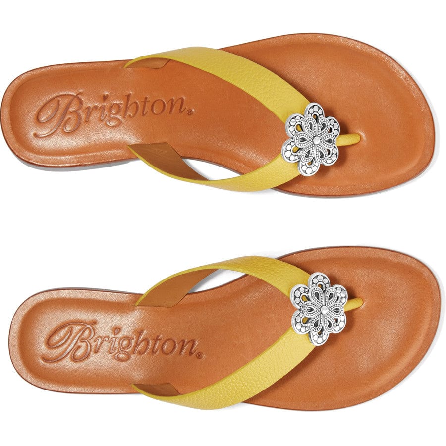 Aster Flower Thongs