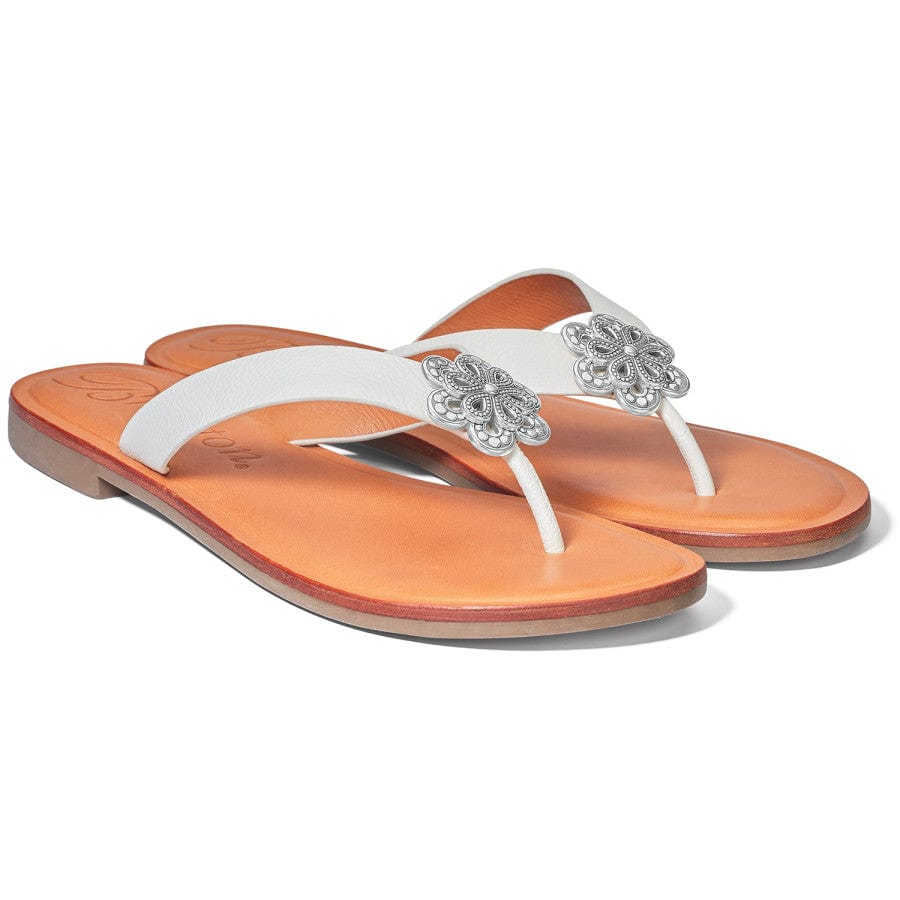  Aster Flower Thongs