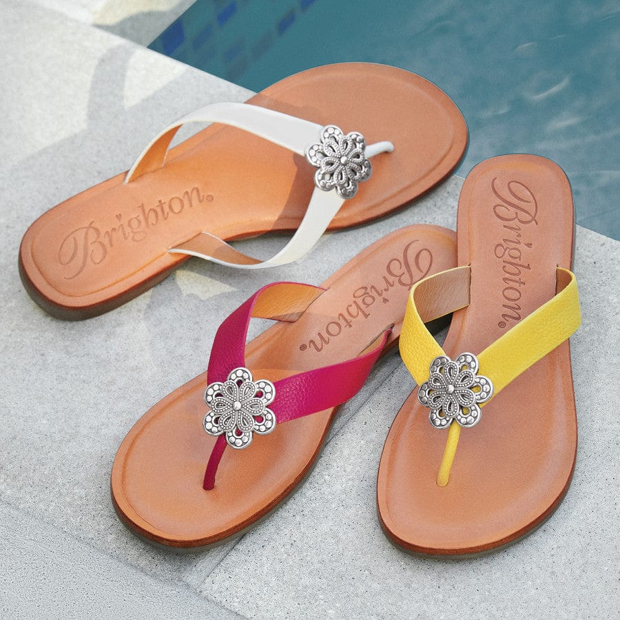  Aster Flower Thongs
