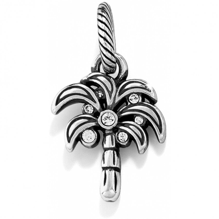  Desert Palm Charm