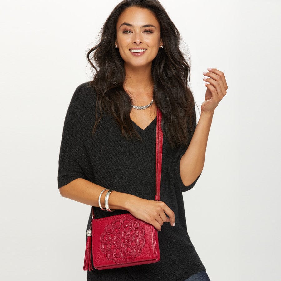  Ferrara City Organizer