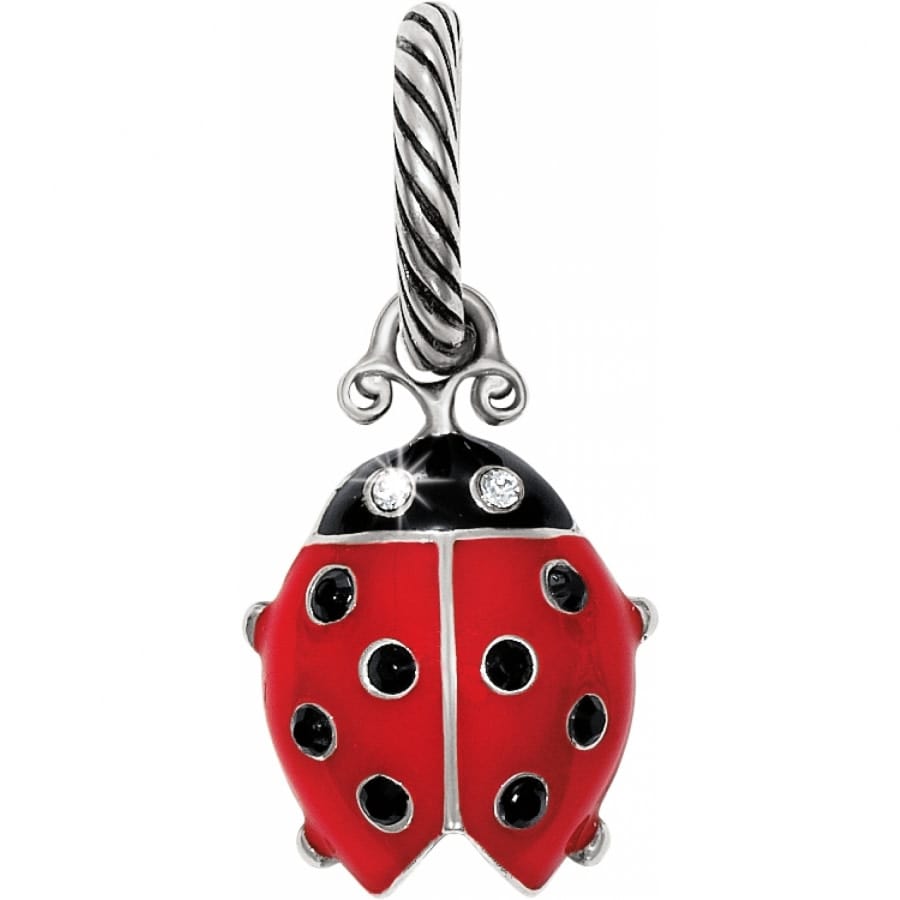  Lucky Lady Charm