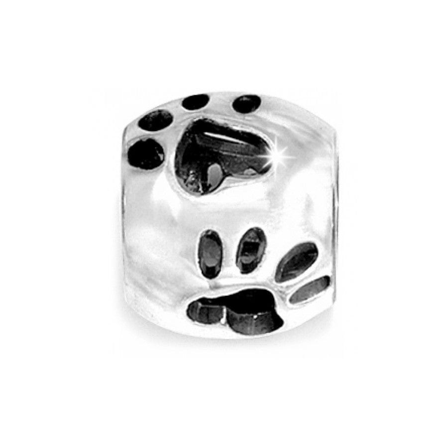  Paw Bead