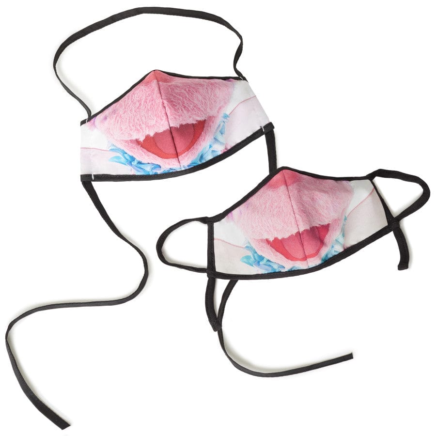  Sesame Street Abby Cadabby Adult/Child Face Mask (2 Pack)