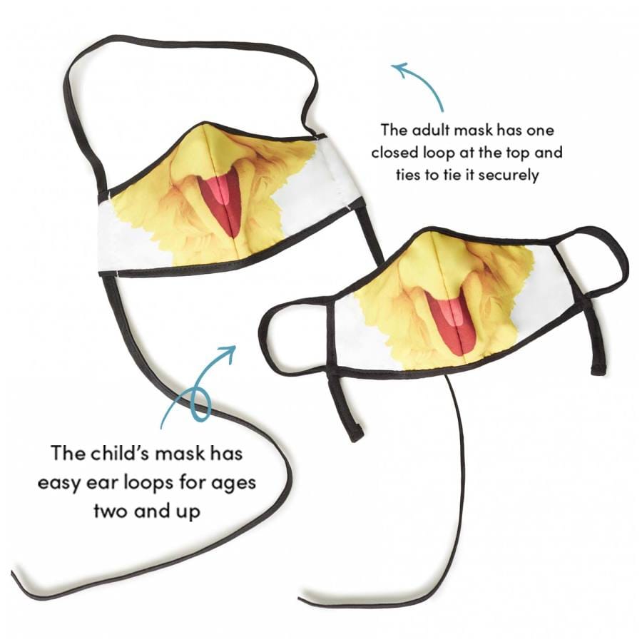  Sesame Street Big Bird Adult/Child Face Mask (2 Pack)