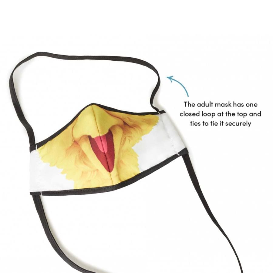  Sesame Street Big Bird Adult Face Mask