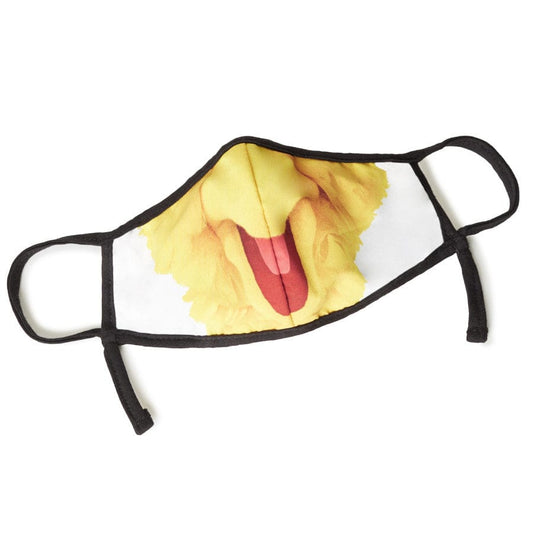  Sesame Street Big Bird Child Face Mask