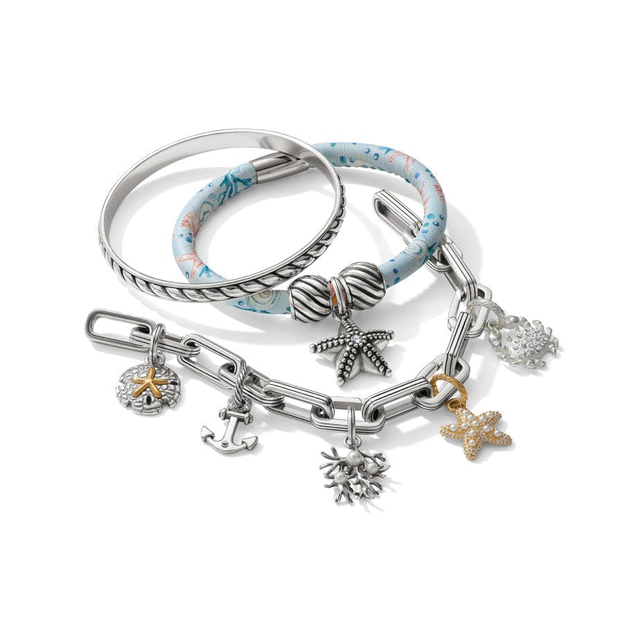  Sunset Cove Dollar Charm