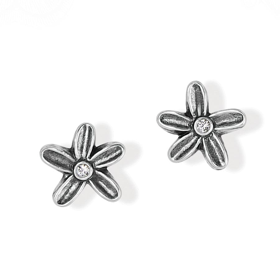  Wild Flowers Post Earrings