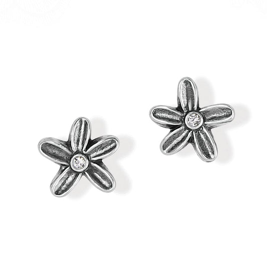  Wild Flowers Post Earrings