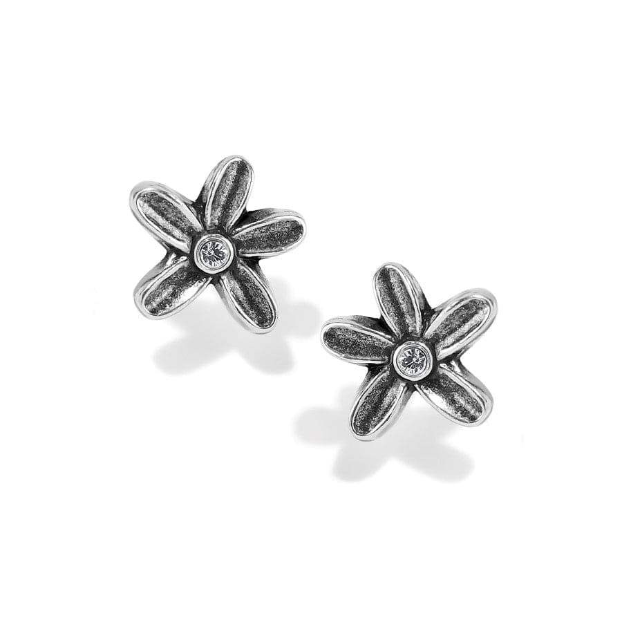  Wild Flowers Post Earrings
