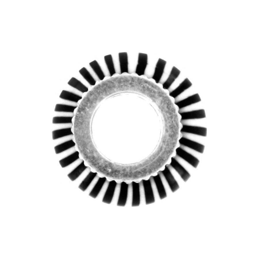  Zebra Bead